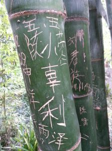 writing on bamboo-1-1